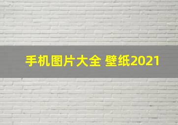 手机图片大全 壁纸2021